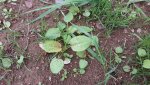 20160905_134734.jpg 20160905_134734.jpg