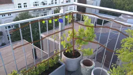 wunsch.webp