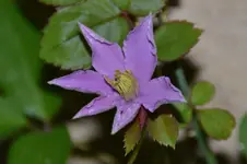 DSC_4342.webp