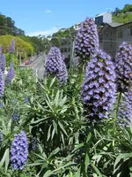IMG_6525v.webp