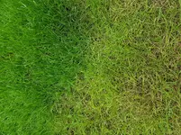 20160905_185913.webp 20160905_185913.webp