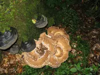 002_1024x768.webp