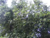 BILD5713.webp