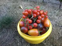 20160907_164957.jpg