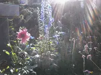 20160907_171432.webp