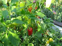 IMG_5147.webp