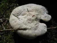 001_1024x768.webp