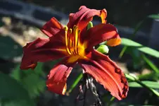 _DSC0033.webp