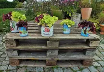 DSCF7241 (3).webp