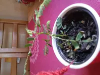 20160908_092452.webp