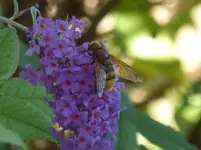 P1230671.webp