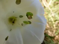 P1230610.webp