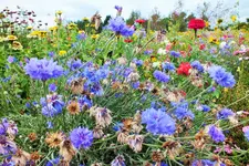 DSCF7228 (2).webp