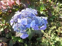 DSCI0139.webp