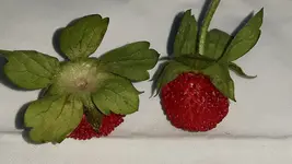 20160909_171410.jpg