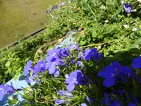 P1010869.webp