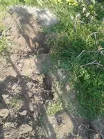 20160909_173359.jpg