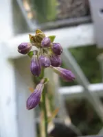 002_788x1050.webp