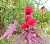 DSCF7238 (3).webp