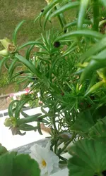 20160909_082036.webp