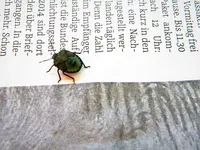 DSCN7032.webp
