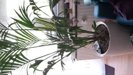 20160910_125535.webp