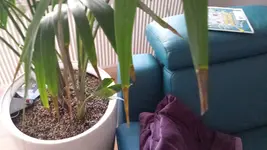 20160910_125633.webp