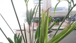 20160910_125641.webp