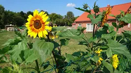 2016-09-10 14.04.15.webp