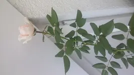 20160910_123148.jpg