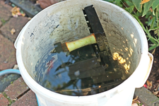 Filter säubern_640.webp