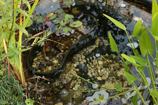 600er neu befüllt_640.webp