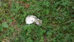 20160909_175934.jpg