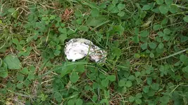 20160909_175934.webp