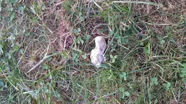 20160911_115102.jpg