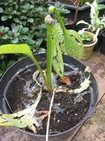 001_788x1050.webp