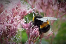 DSCF7343 (2).webp