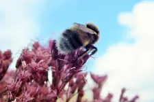 DSCF7349 (2).webp