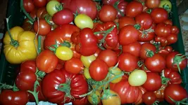 20160908_190532.webp