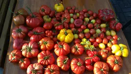 20160907_173547.webp