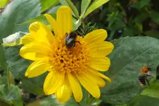 DSCF7328.webp