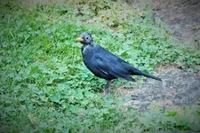 DSCF7303 (2).webp
