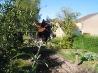001.webp