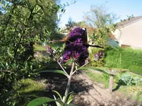 002.webp