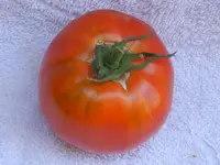 Big Sky Brandy_rot.webp