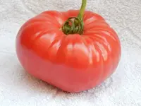 Roter Kürbis.webp