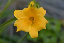 DSC_5773.webp