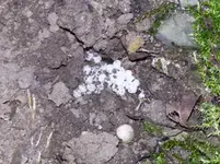 20160913_190611.webp