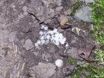 20160913_190611.jpg