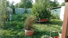 IMG_20160913_174103.webp